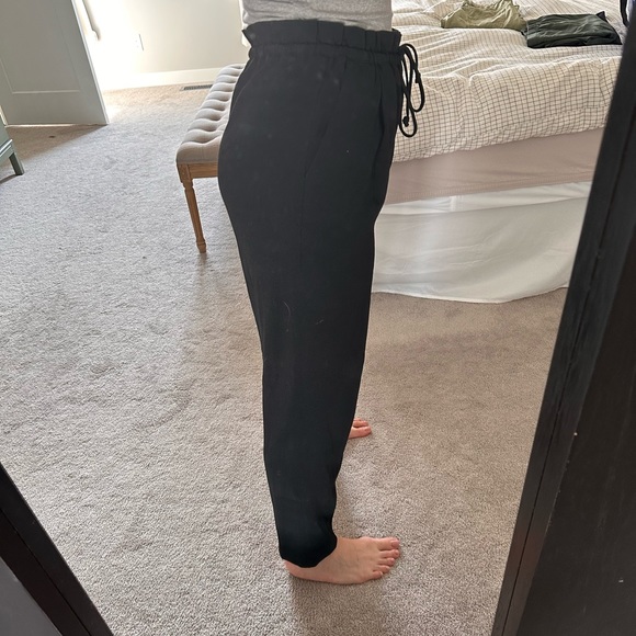 Wilfred Paper Bag Style Dress Pants - Picture 3 of 10